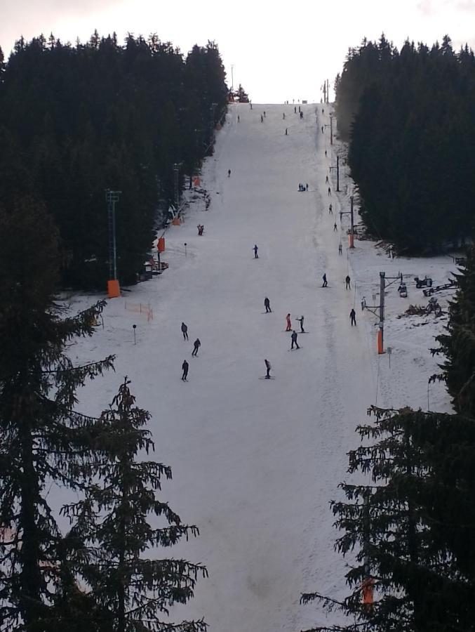 Woodside Woodside Apartments Kopaonik Free Parking & Spa , Free Ski Locker Ngoại thất bức ảnh